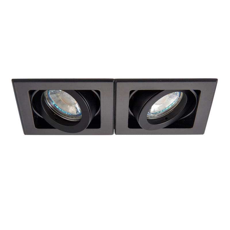 Xeno Twin Black Adjustable Recessed Light 50W